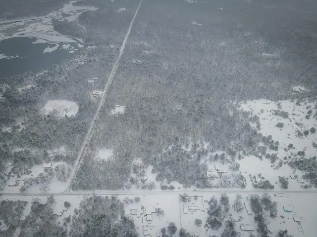 $86,900 | V/l Nichols Road, Holton, MI 49425