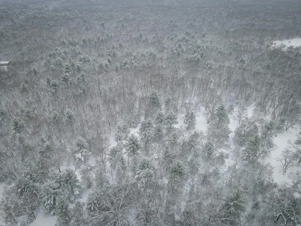 $86,900 | V/l Nichols Road, Holton, MI 49425