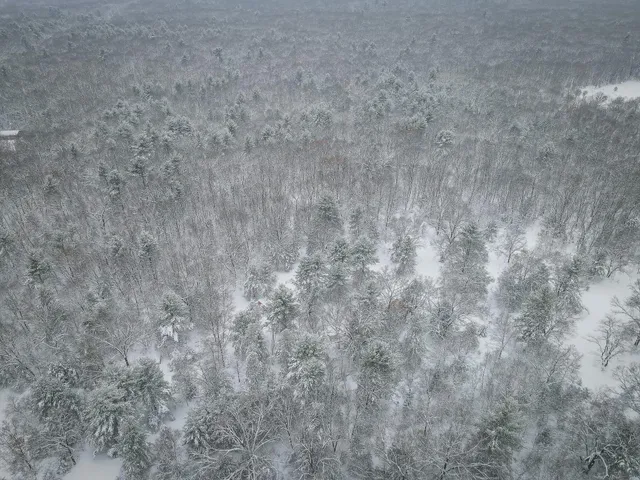 $86,900 | V/l Nichols Road, Holton, MI 49425