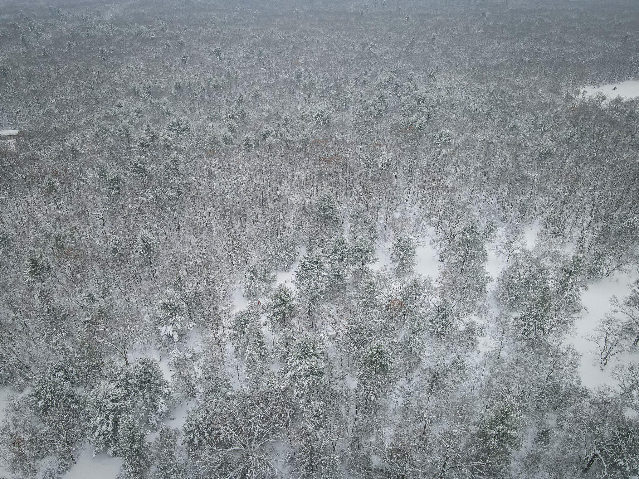 V/l Nichols Road Holton, MI 49425 - Photo 4 of 17 DJI_0958