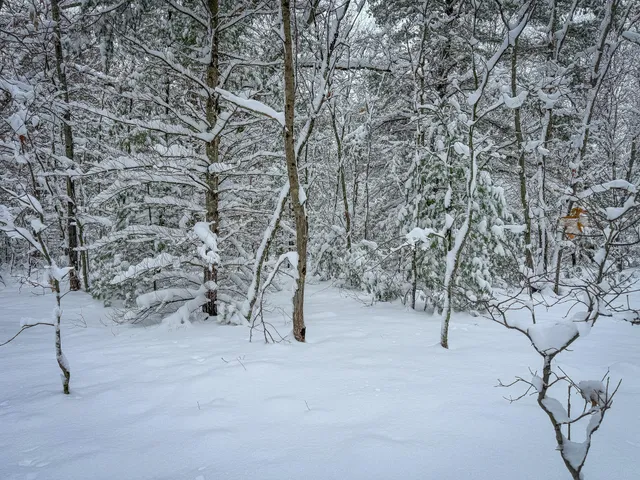 $86,900 | V/l Nichols Road, Holton, MI 49425