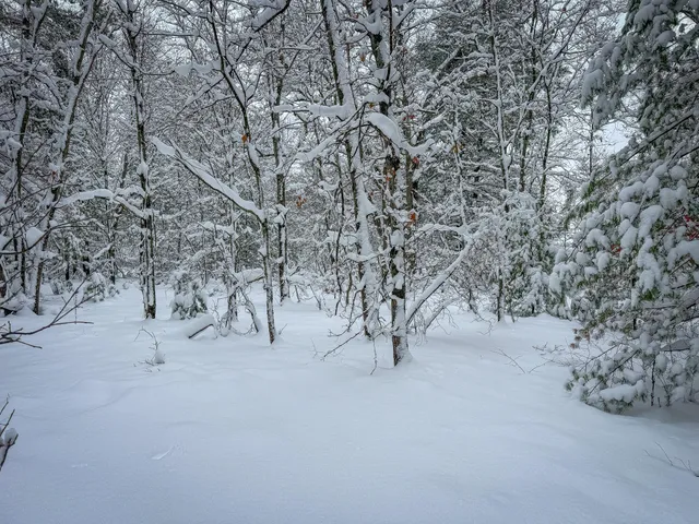 $86,900 | V/l Nichols Road, Holton, MI 49425