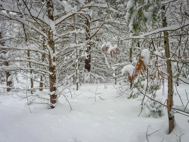 $86,900 | V/l Nichols Road, Holton, MI 49425