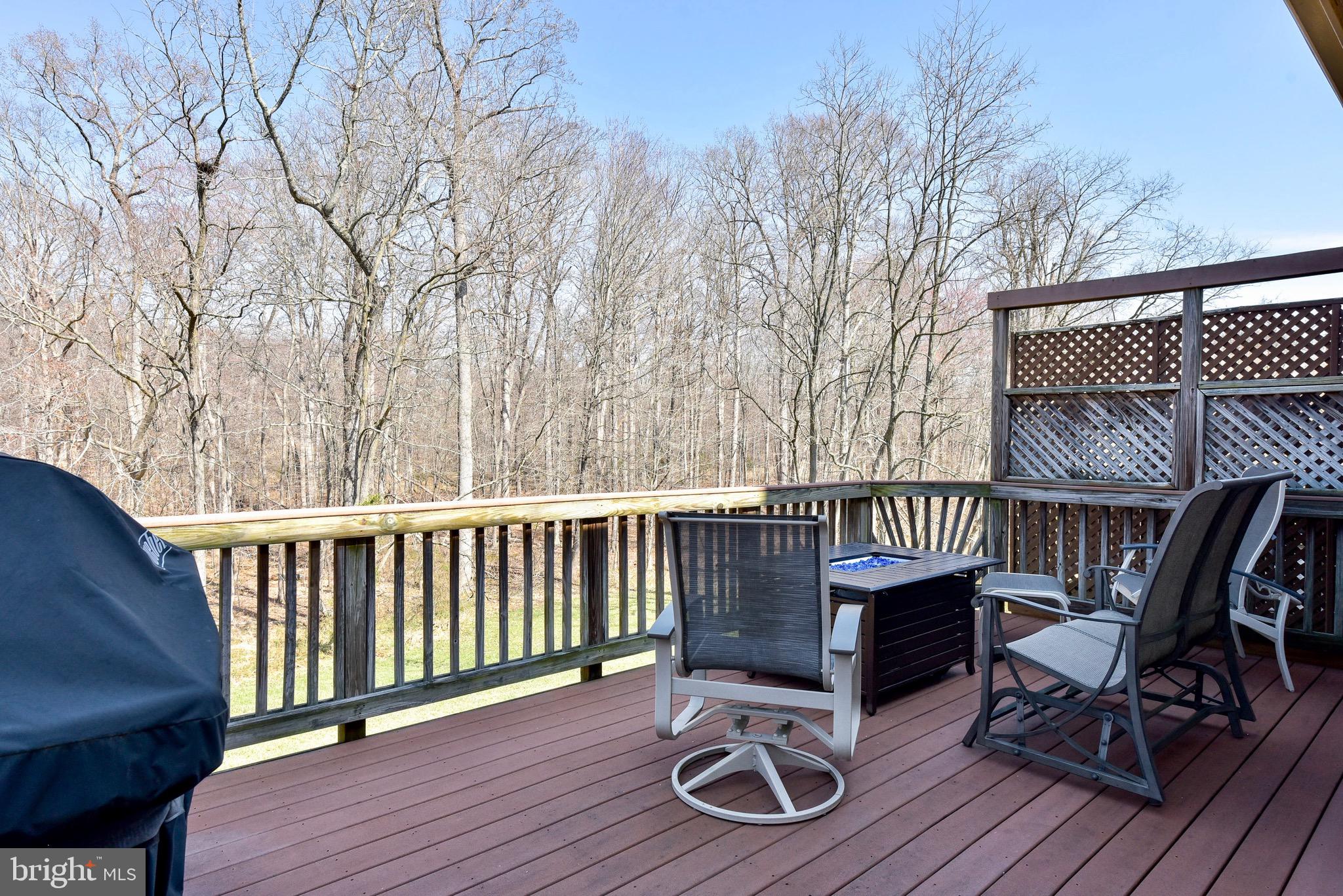 20320 Burnley Square Sterling, VA 20165 - Photo 10 of 37 You'll love relaxing on the deck with a park view