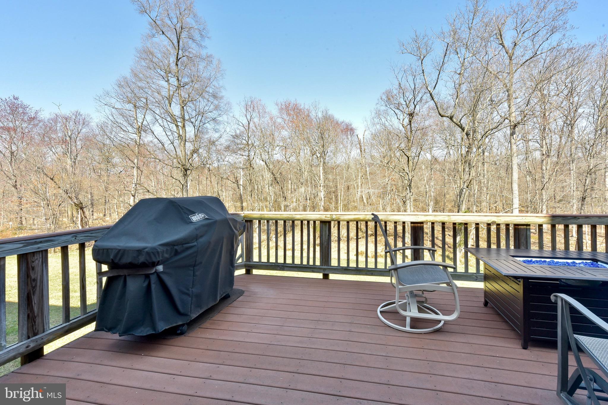 20320 Burnley Square Sterling, VA 20165 - Photo 11 of 37 Enjoy the view while barbecuing too!