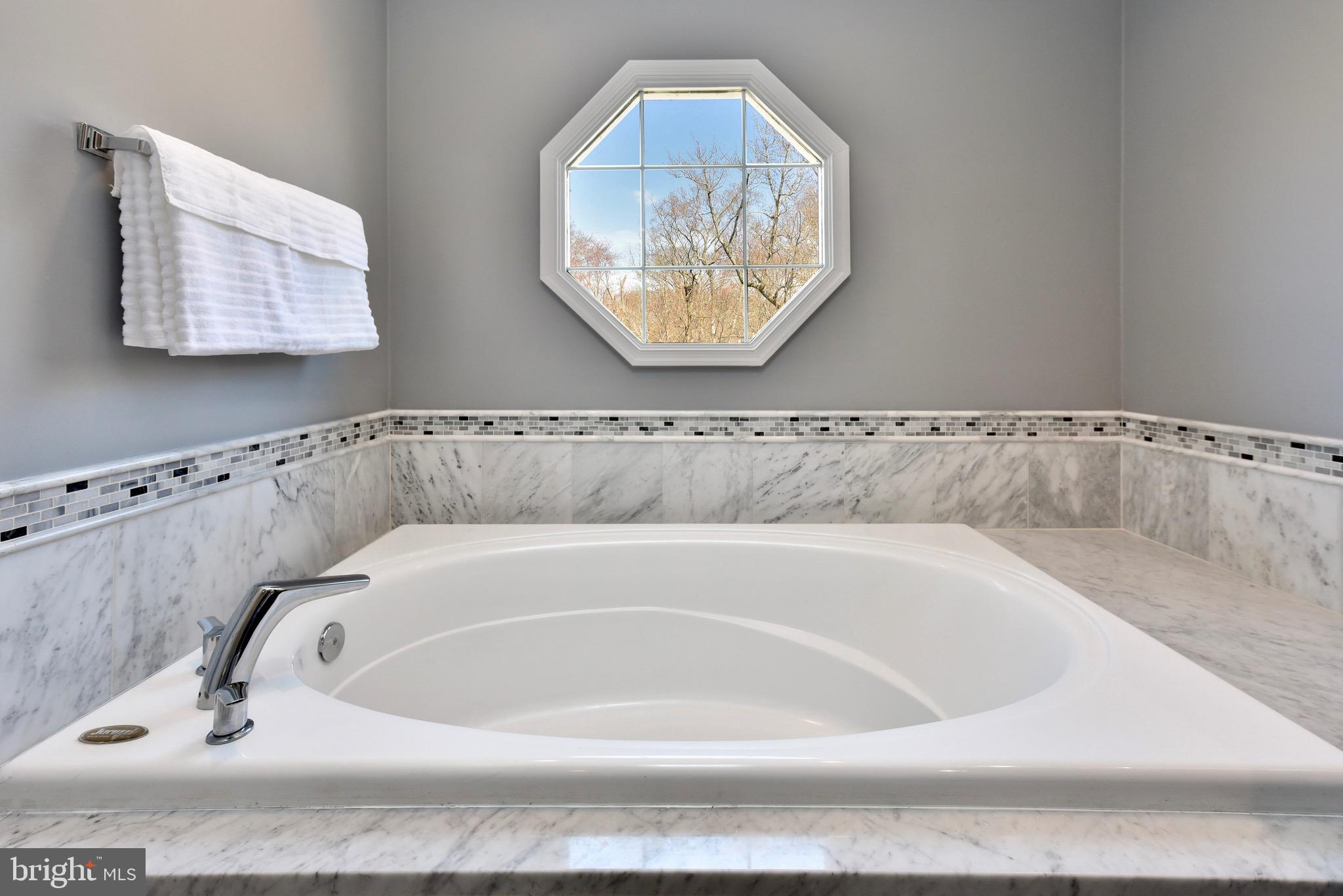 20320 Burnley Square Sterling, VA 20165 - Photo 17 of 37 Wash away your worries from the soaking tub
