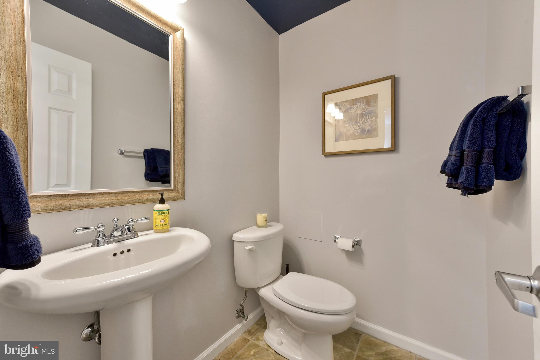 20320 Burnley Square Sterling, VA 20165 - Photo 26 of 37 Additional powder room on lower level