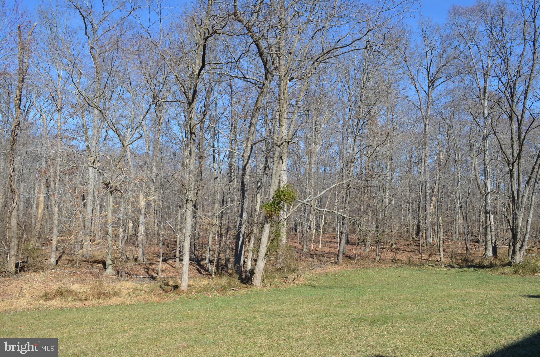 20320 Burnley Square Sterling, VA 20165 - Photo 33 of 37 Amazing view of scenic Algonkian Regional Park
