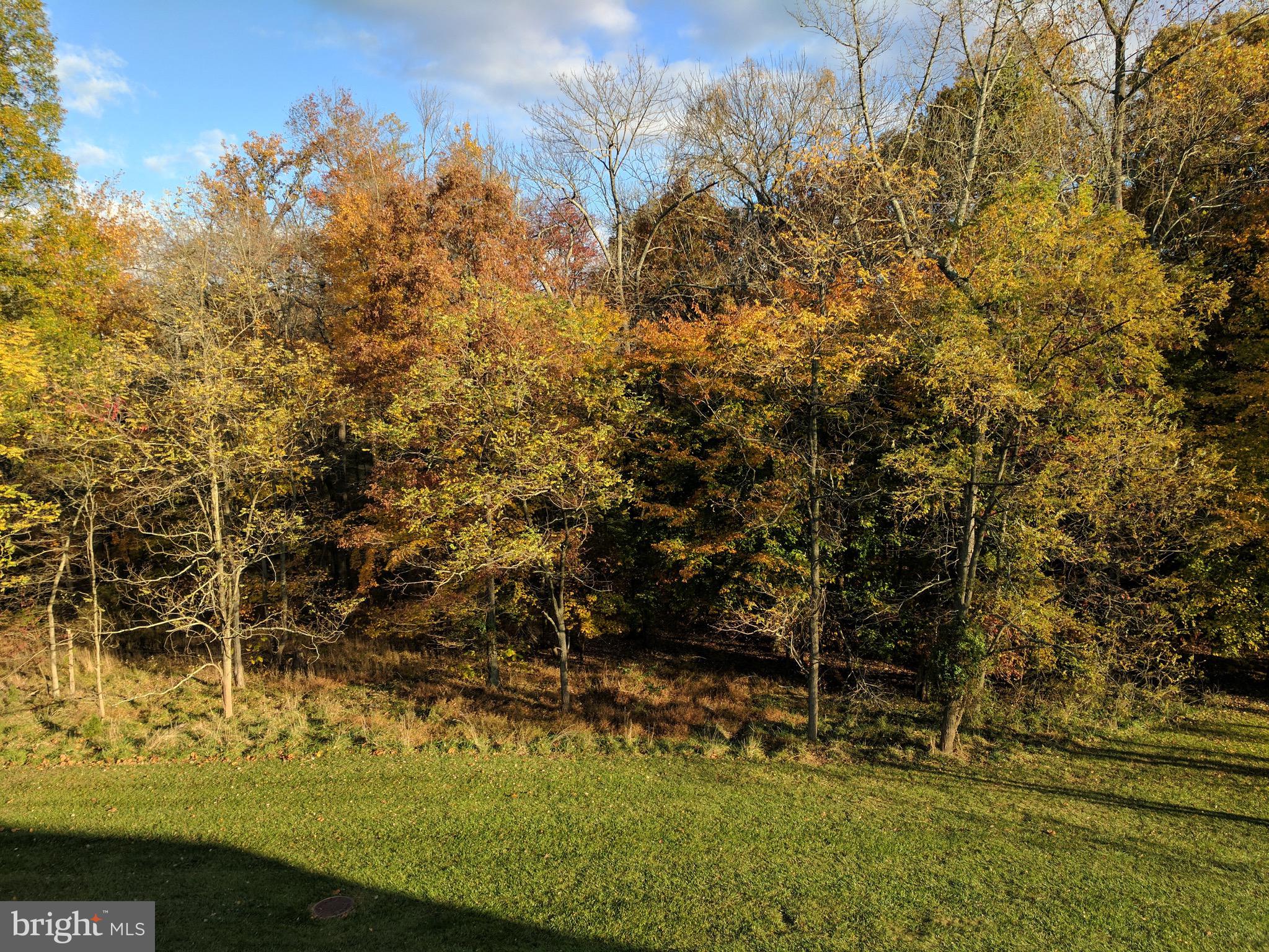 20320 Burnley Square Sterling, VA 20165 - Photo 34 of 37 Even more spectacular view in the fall!