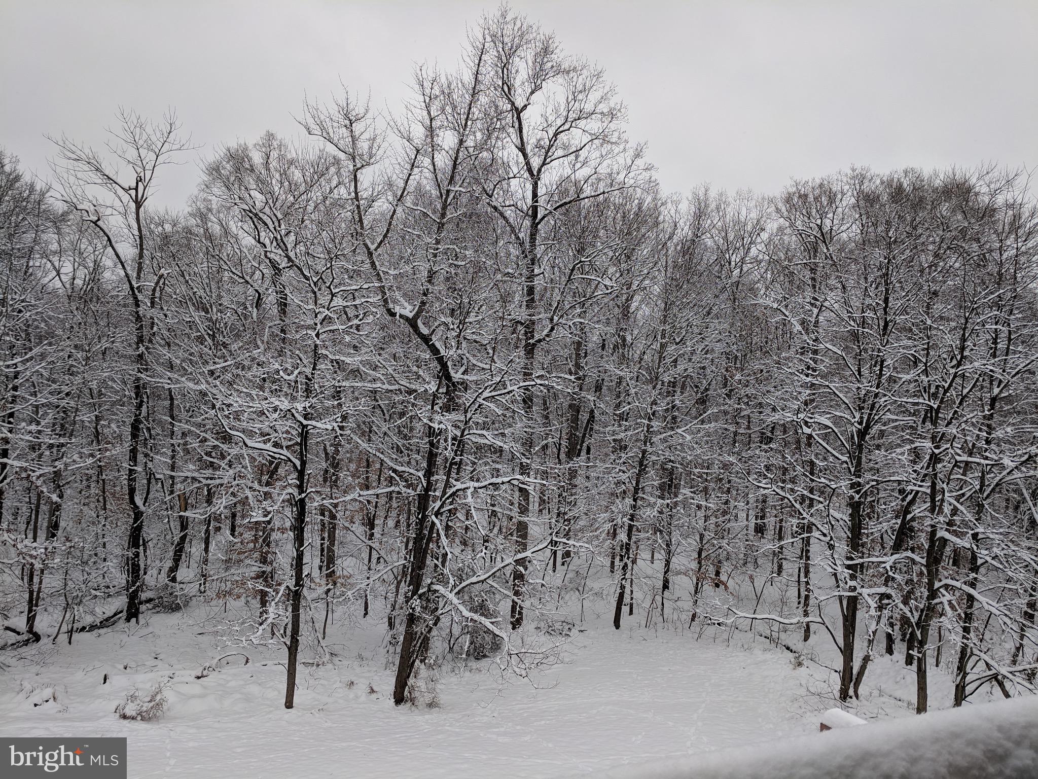20320 Burnley Square Sterling, VA 20165 - Photo 35 of 37 The winter view is also pristine and beautiful
