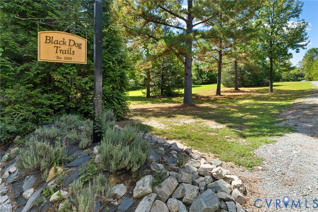 748 Factory Mill Road Bumpass, VA 23024 - Photo 2 of 44 a view of a trees with a yard