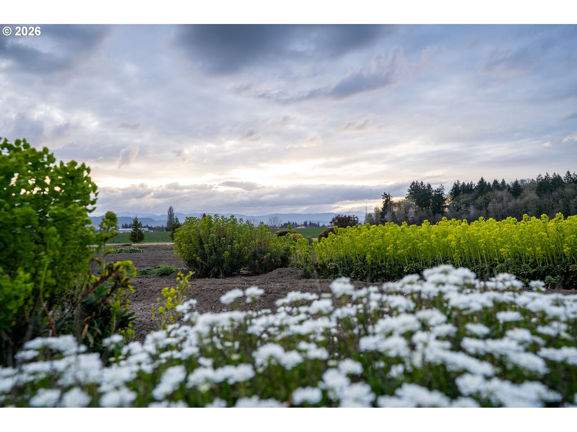 7601 Milne Road Cornelius, OR 97113 - Photo 42 of 48