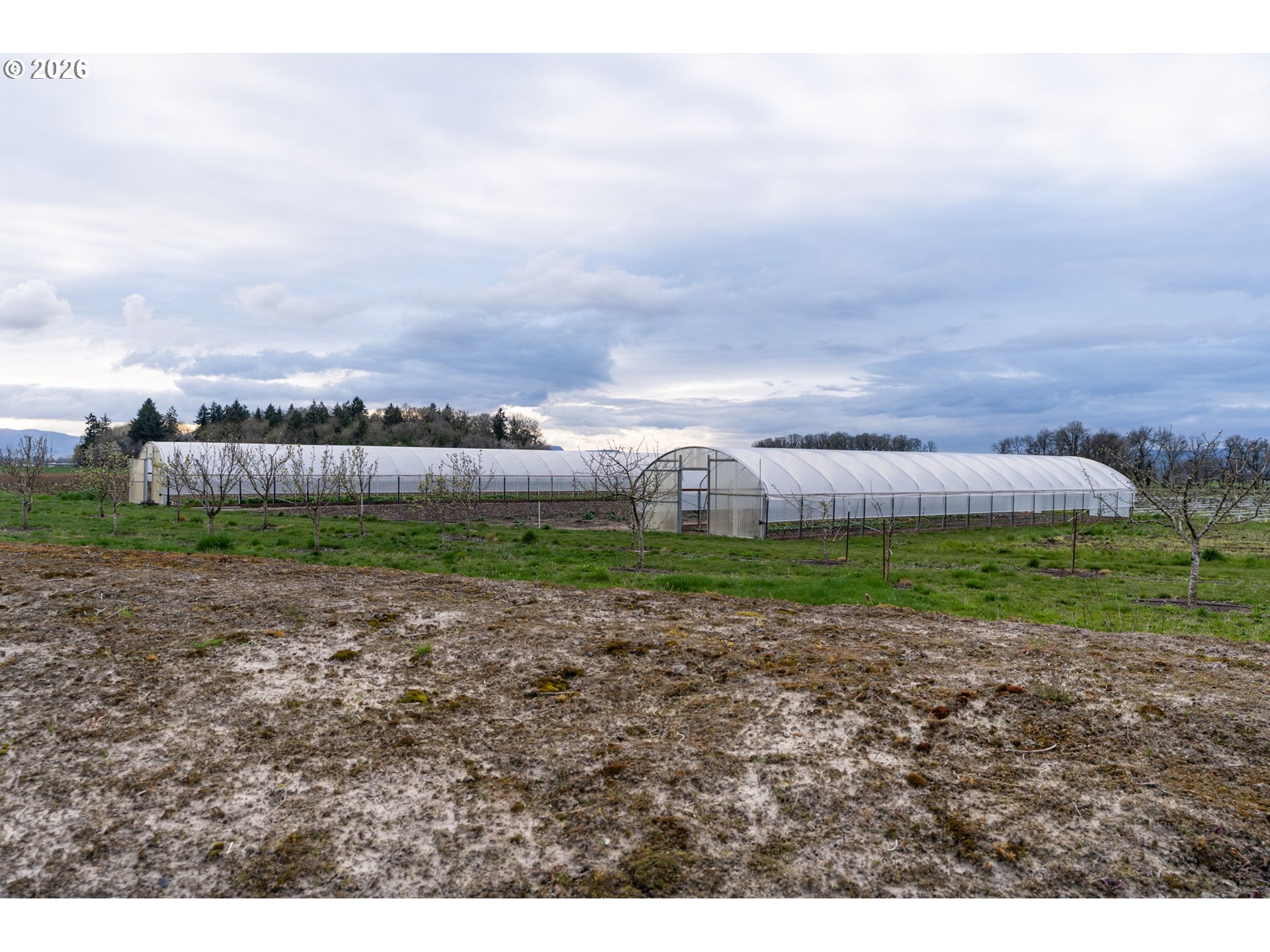 7601 Milne Road Cornelius, OR 97113 - Photo 43 of 48 a view of a field