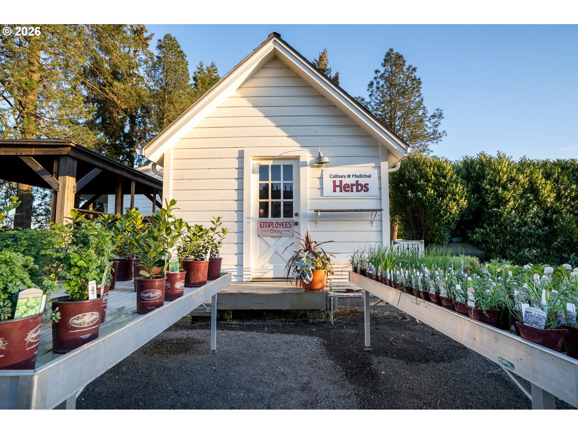 7601 Milne Road Cornelius, OR 97113 - Photo 8 of 48