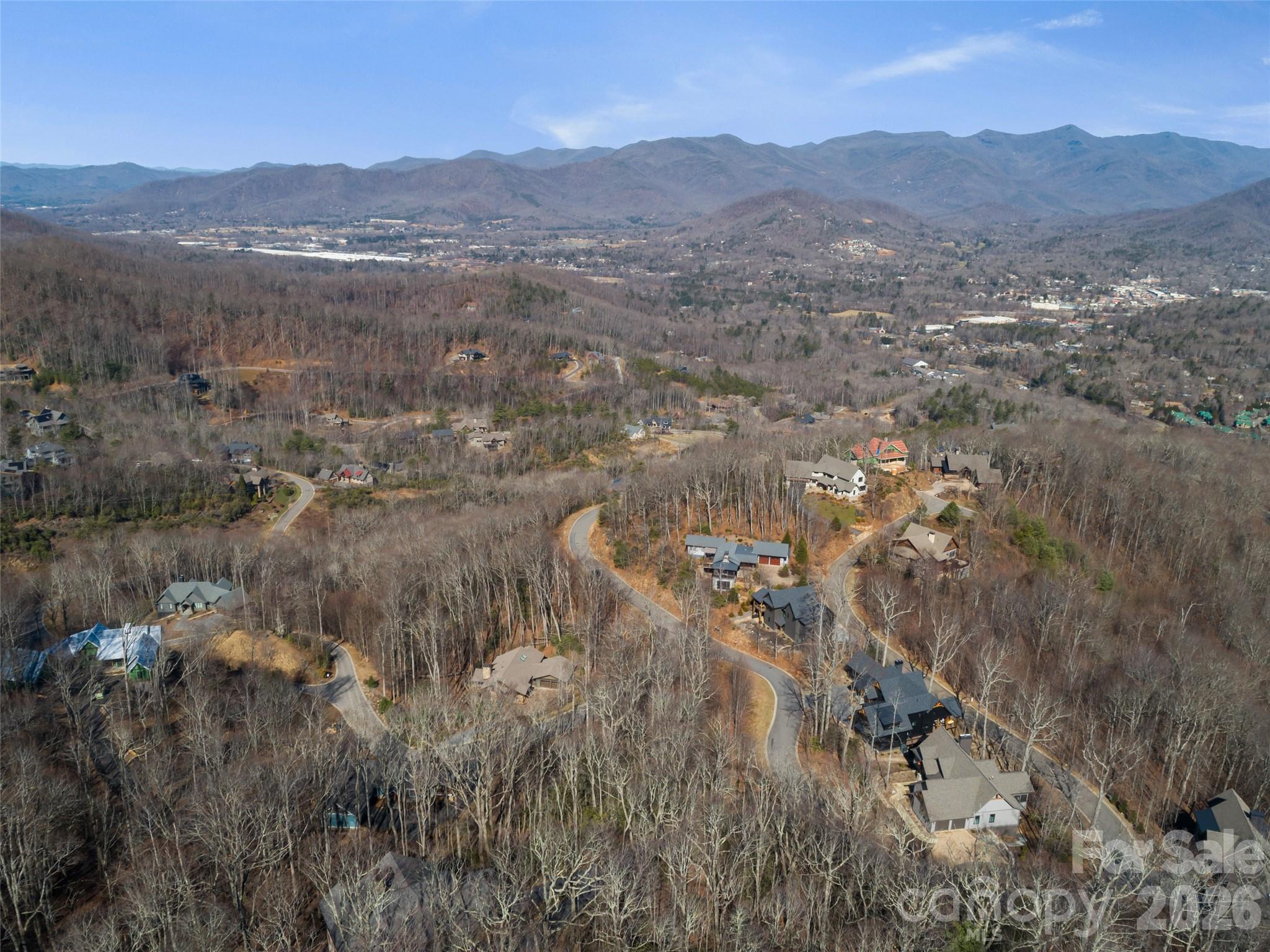 5 Crockett Ridge Road, Unit 179 Black Mountain, NC 28711 - Photo 13 of 20 a view of mountain and a forest