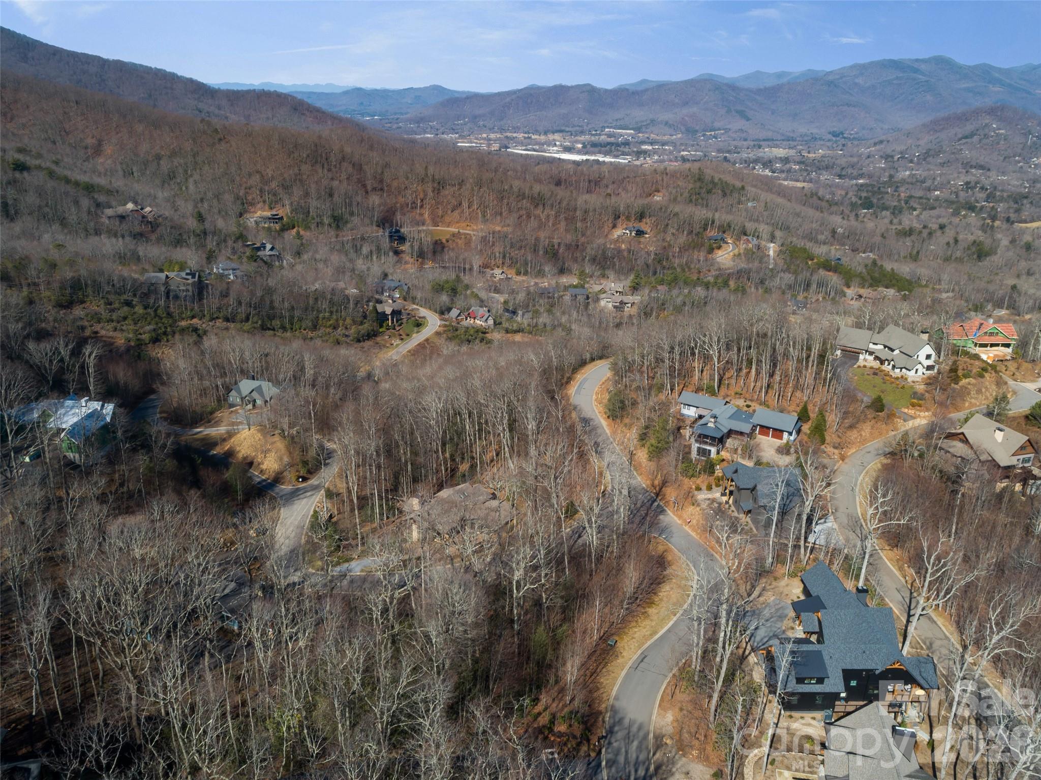 5 Crockett Ridge Road, Unit 179 Black Mountain, NC 28711 - Photo 16 of 20 a view of a forest with a mountain