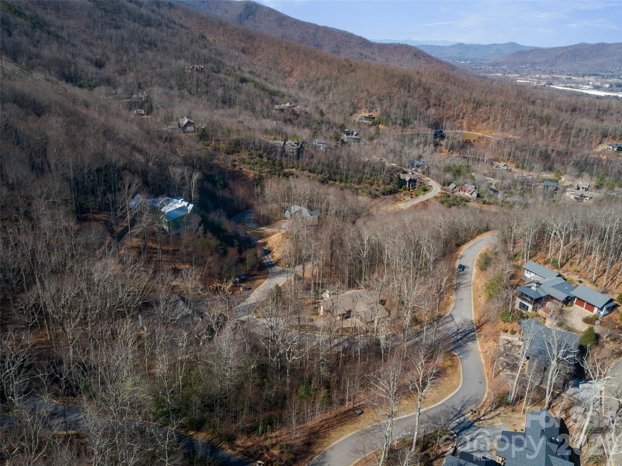 5 Crockett Ridge Road, Unit 179 Black Mountain, NC 28711 - Photo 17 of 20 a view of a forest with mountains in the background