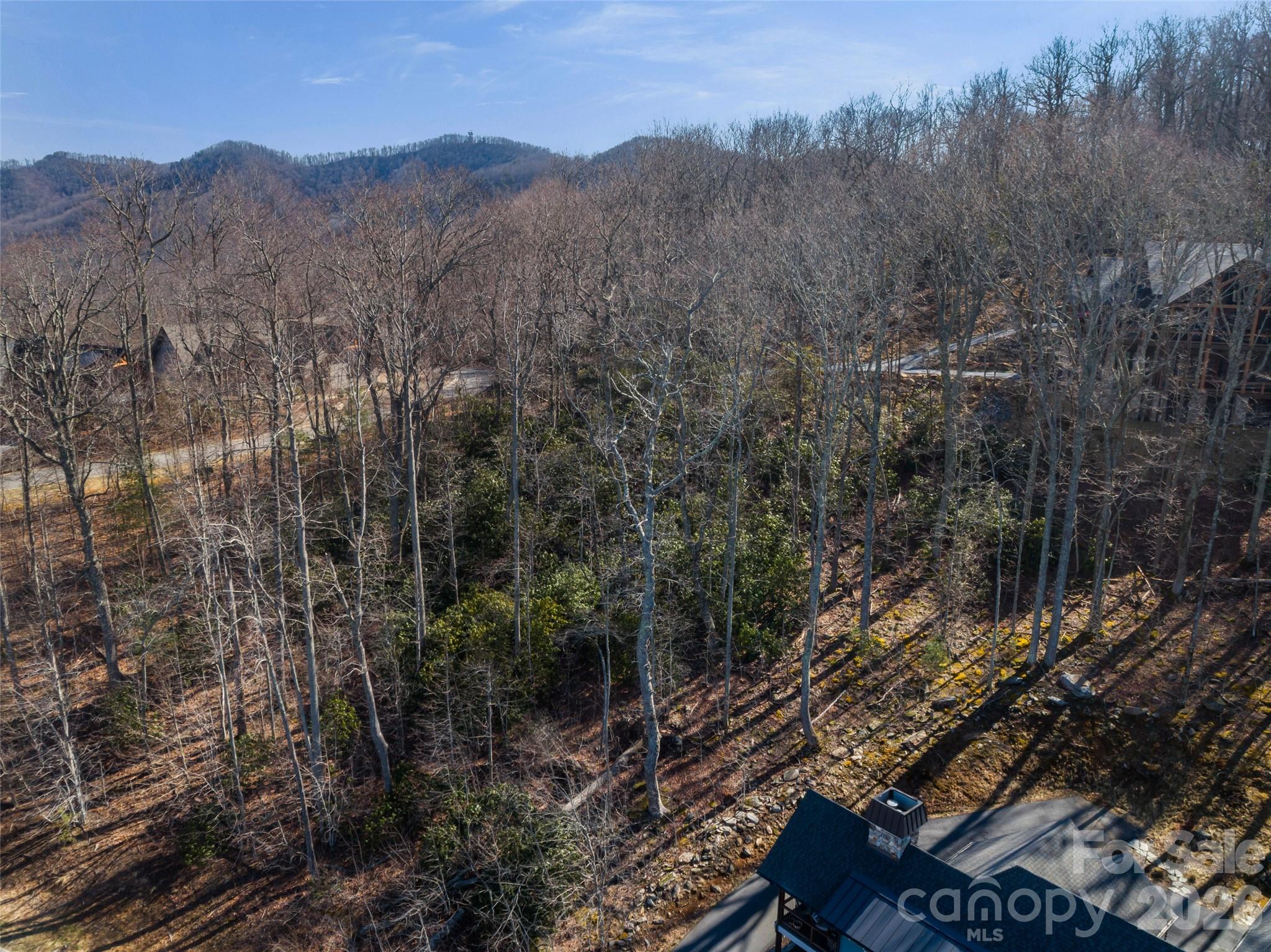5 Crockett Ridge Road, Unit 179 Black Mountain, NC 28711 - Photo 19 of 20 a view of a forest with mountains in the background