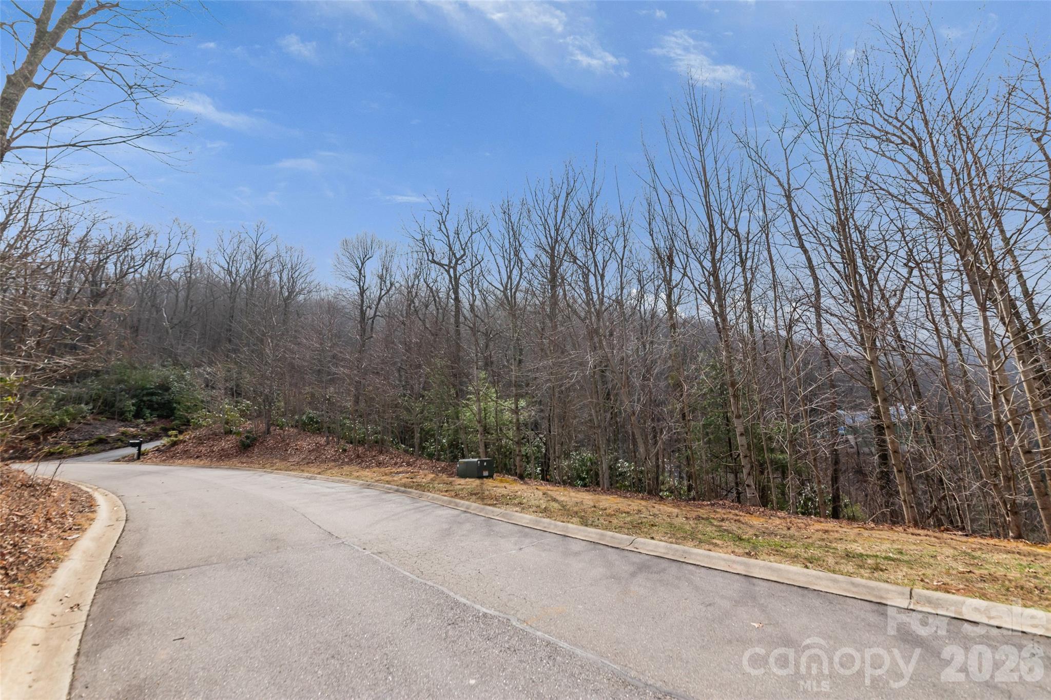 5 Crockett Ridge Road, Unit 179 Black Mountain, NC 28711 - Photo 20 of 20 a view of a backyard of the house