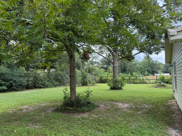 a view of a yard with a tree