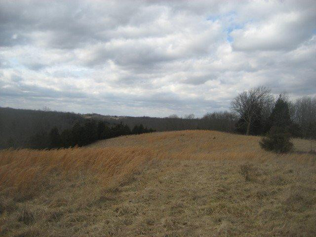 1234 Goose Creek Road Bagdad, KY 40003 - Photo 21 of 23 Photo 21