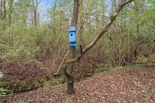 $160,000 | 127 Martin Luther King Junior Drive Southwest, Crawfordville, GA 30631