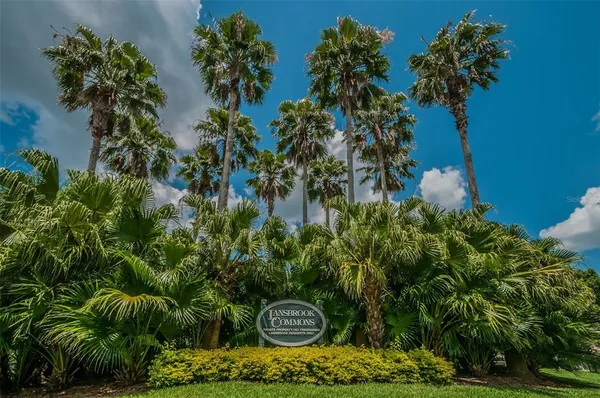 a huge green field with lots of trees