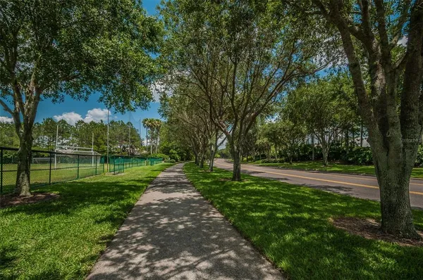 a basketball court with view of trees in the background
