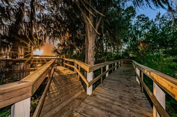 a huge green field with lots of trees