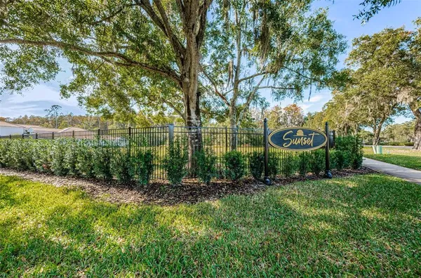 a view of a park with large trees
