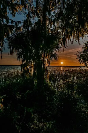 $598,000 | 4445 Lansbrook Parkway, Palm Harbor, FL 34685