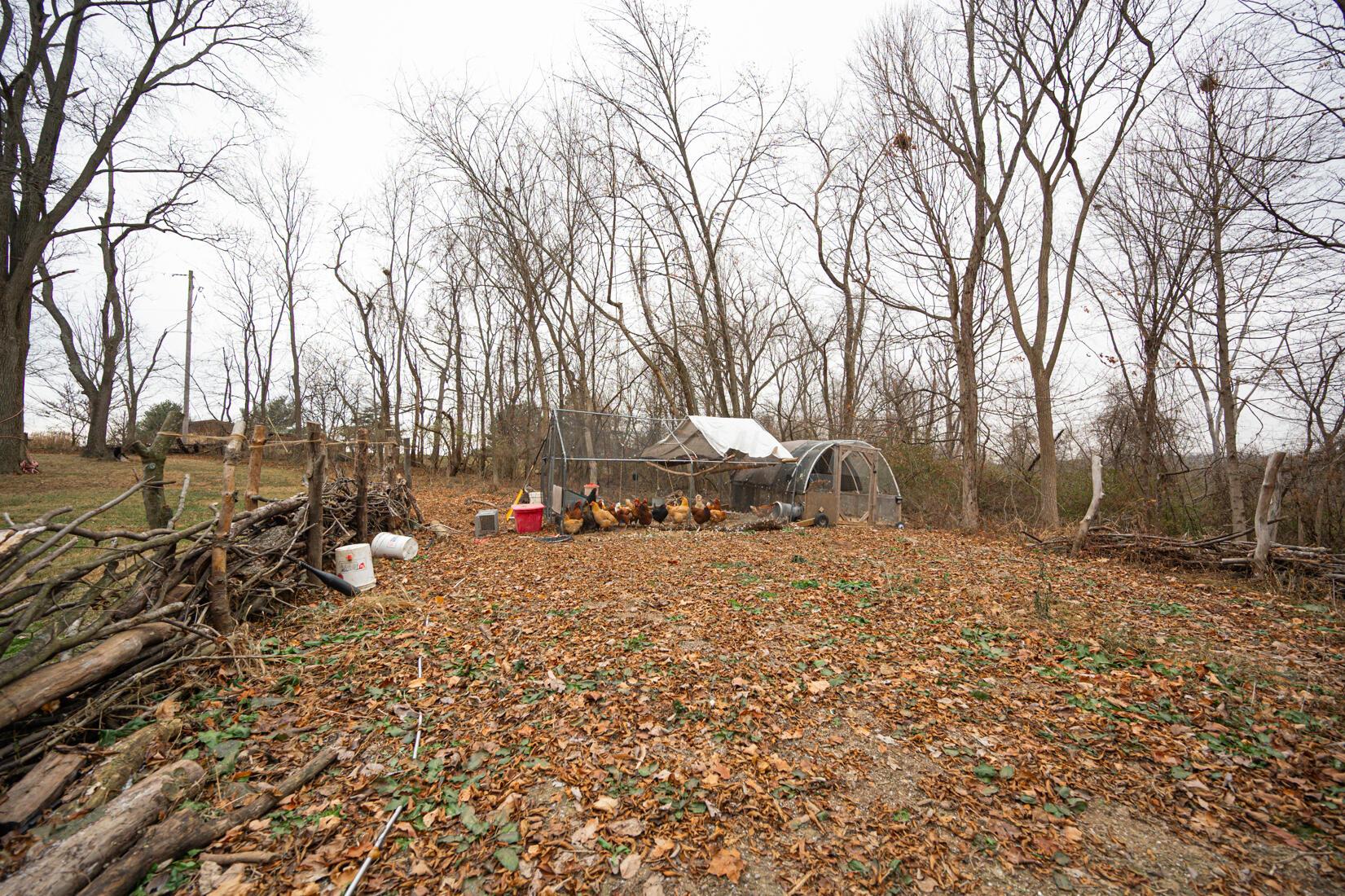 11466 Edwards Road Johnstown, OH 43031 - Photo 53 of 84 11466 Edwards Rd Johnstown Ohio-46