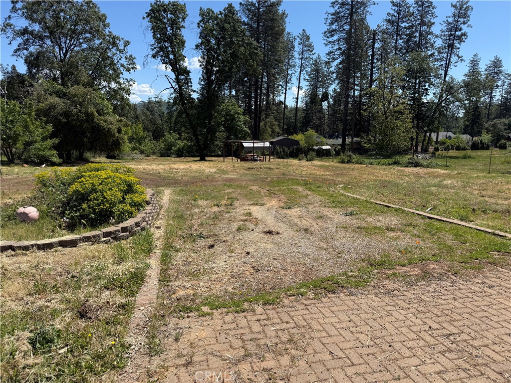 6318 Glory Road Paradise, CA 95969 - Photo 1 of 3 a view of outdoor space with trees