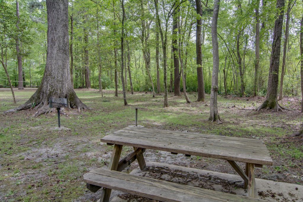 120 Towne Square Road Summerville, SC 29485 - Photo 28 of 31 cs1706201-1031