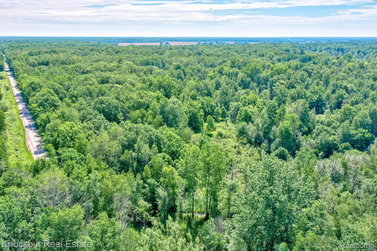 1000 West Kitchen Road Rhodes, MI 48652 - Photo 25 of 34 Kitchen Lots Bay County-22.jpg