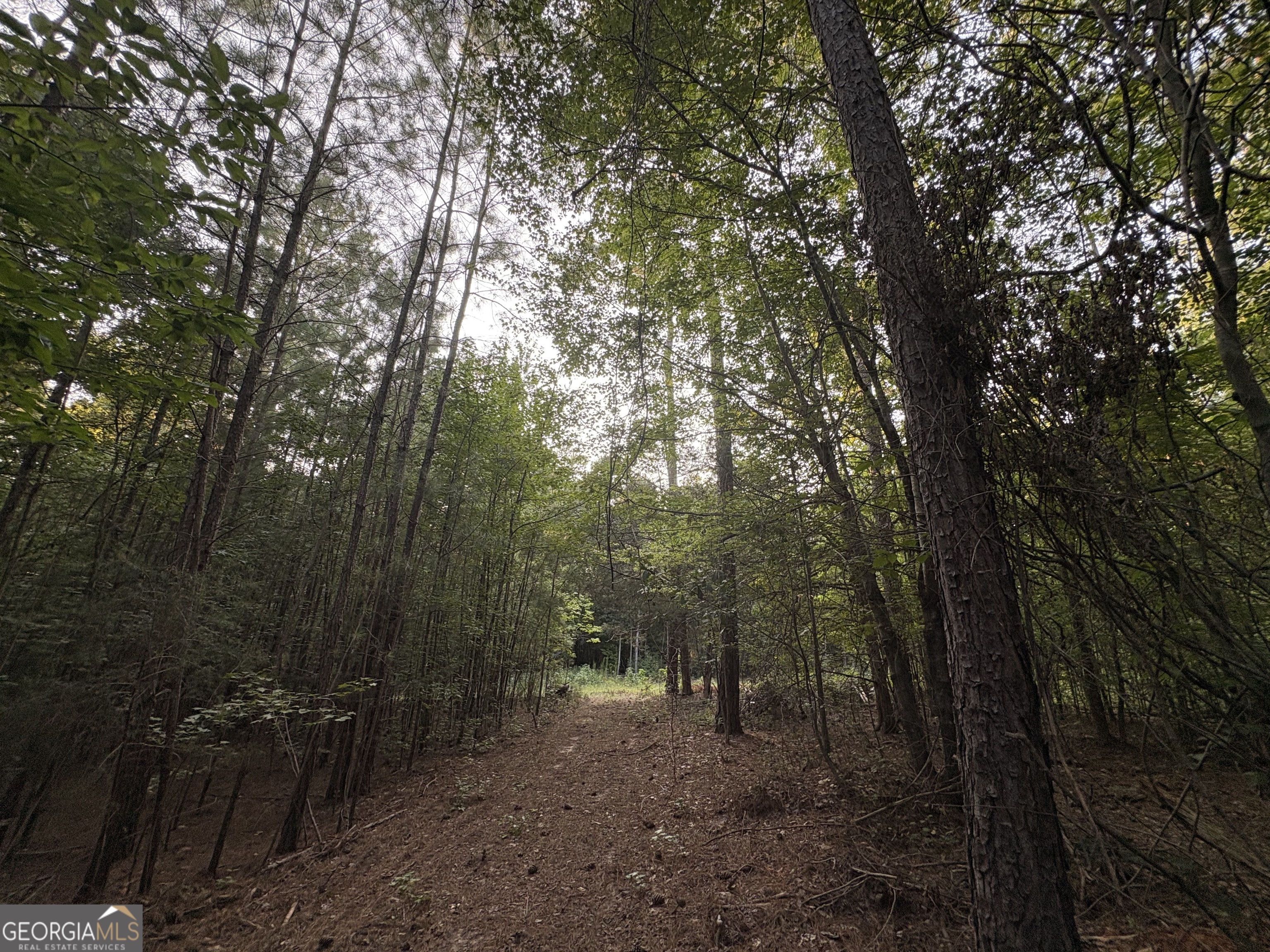 6 Bunch Road Tignall, GA 30668 - Photo 15 of 41 Gallery Image 15