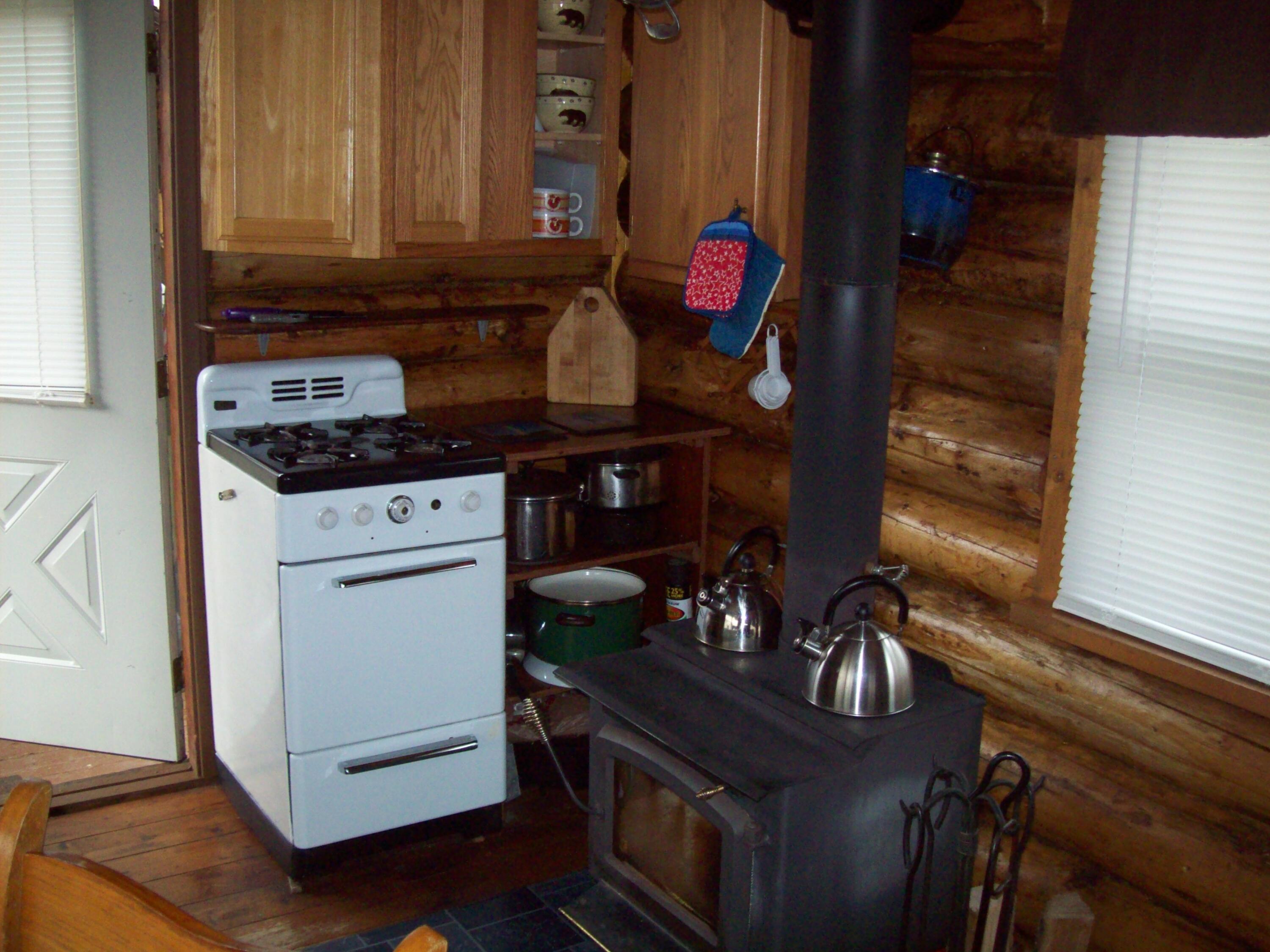 Tbd Mountain Road Mount Chase, ME 04765 - Photo 20 of 29 100_2421