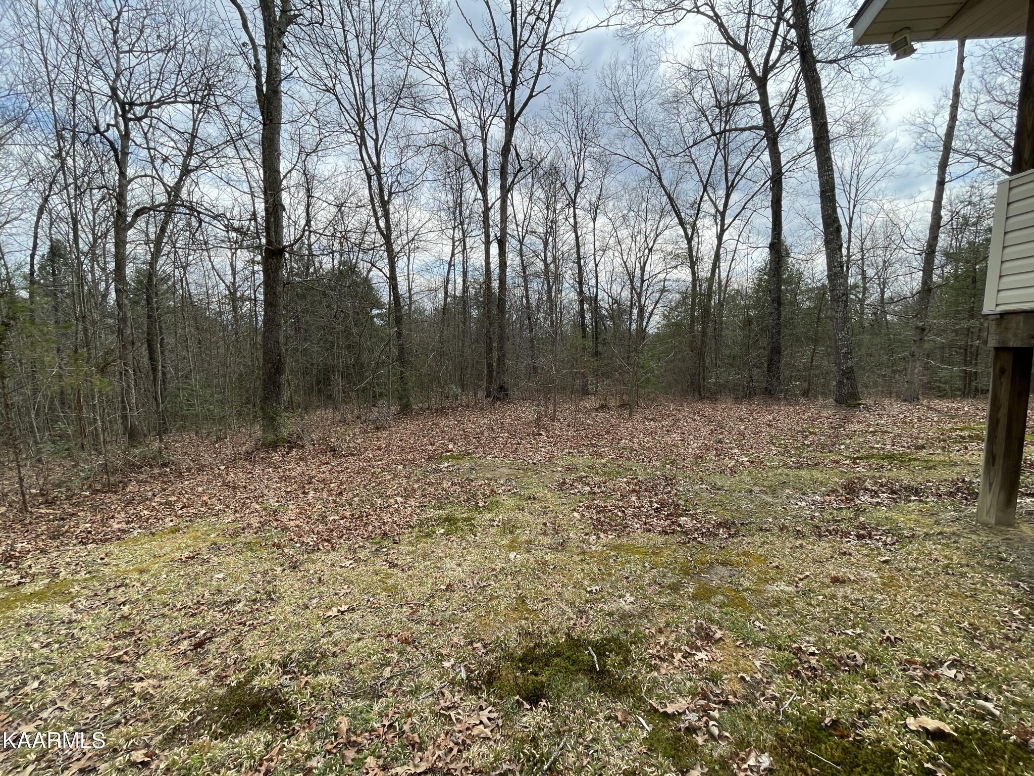 118 Robert Beaty Road Jamestown, TN 38556 - Photo 39 of 47 Gallery Image 39