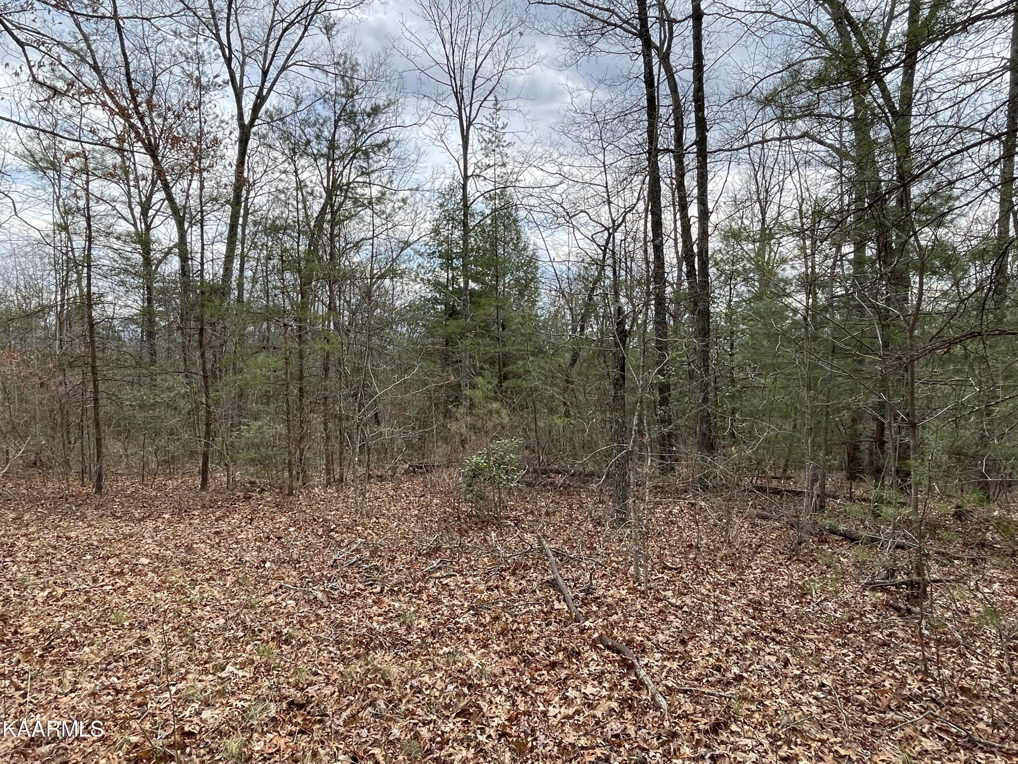 118 Robert Beaty Road Jamestown, TN 38556 - Photo 40 of 47 Gallery Image 40