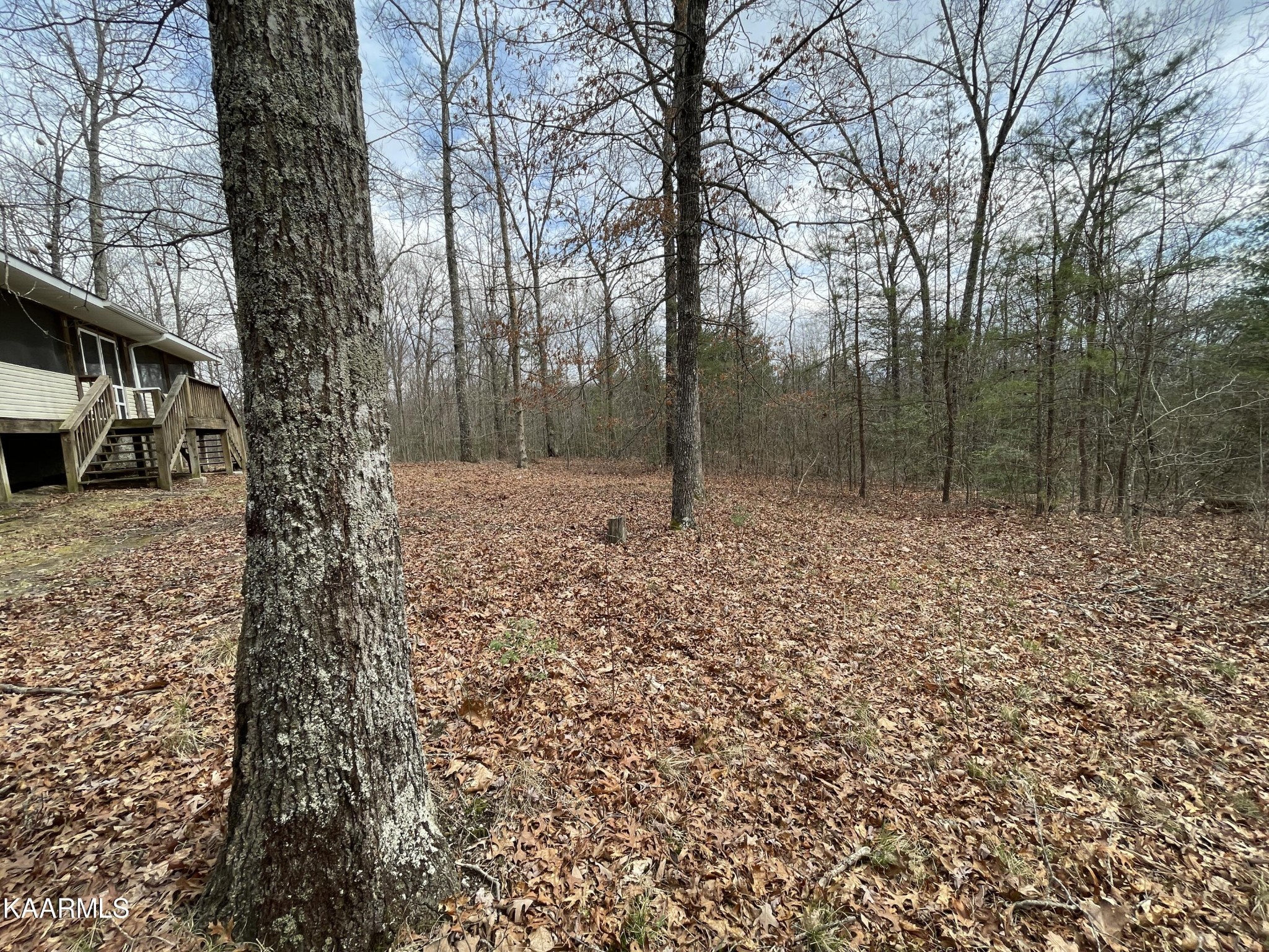 118 Robert Beaty Road Jamestown, TN 38556 - Photo 41 of 47 Gallery Image 41