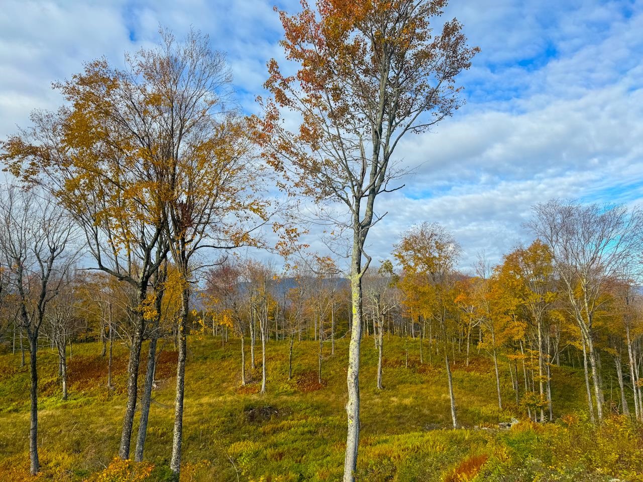 655 Cider Mountain Road Warren, VT 05674 - Photo 14 of 28