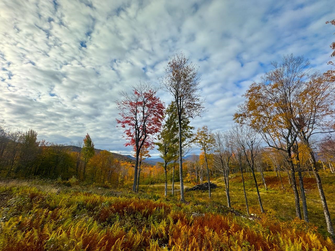 655 Cider Mountain Road Warren, VT 05674 - Photo 16 of 28
