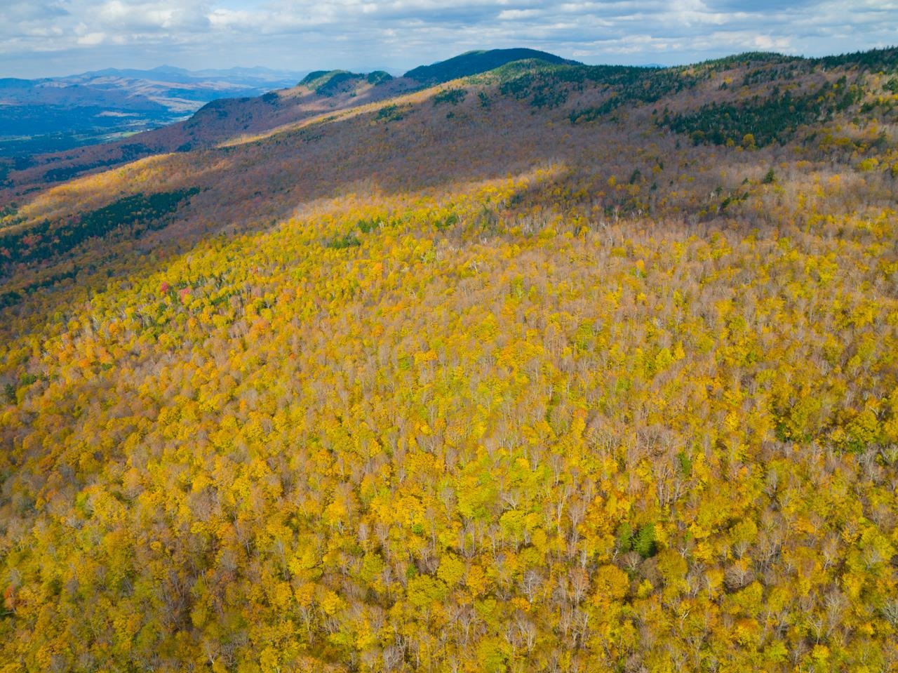655 Cider Mountain Road Warren, VT 05674 - Photo 19 of 28
