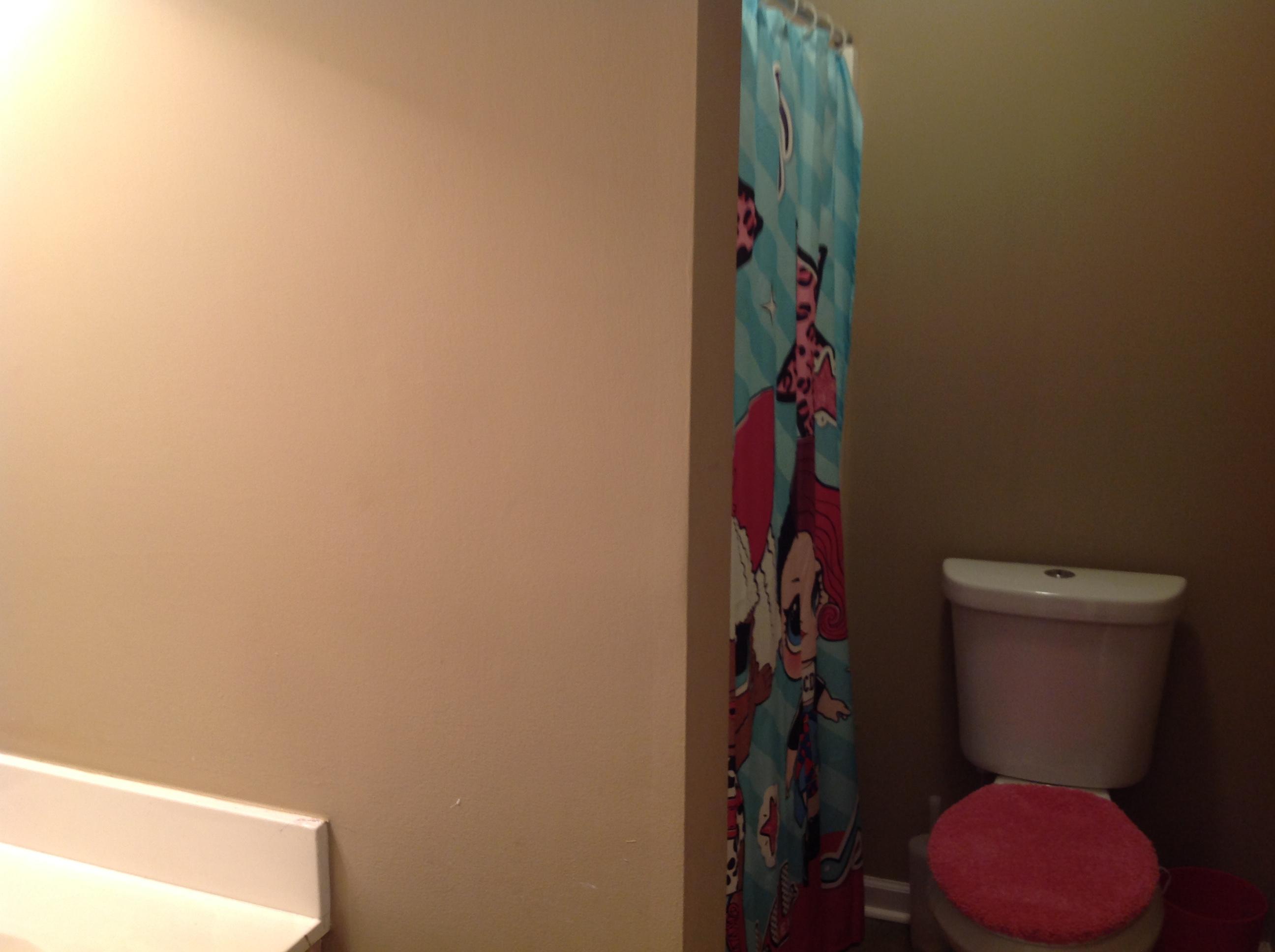 237 2 Pond Loop Ladson, SC 29456 - Photo 12 of 15 237 tpl guest bath