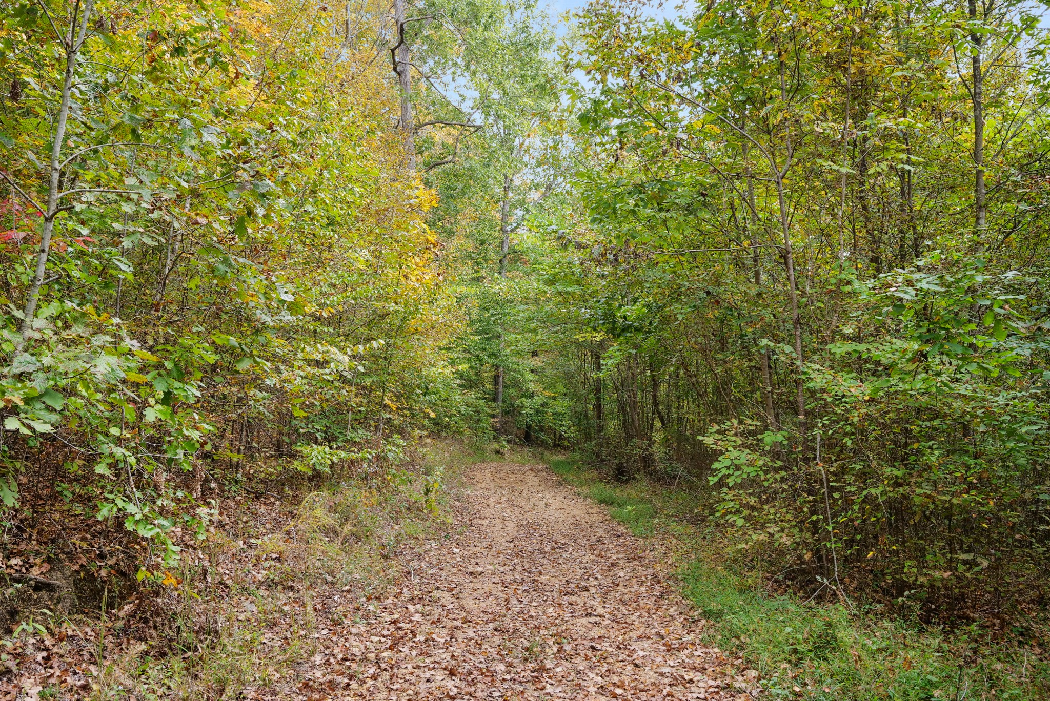 0 Union Road Dickson, TN 37055 - Photo 11 of 40 Gallery Image 11