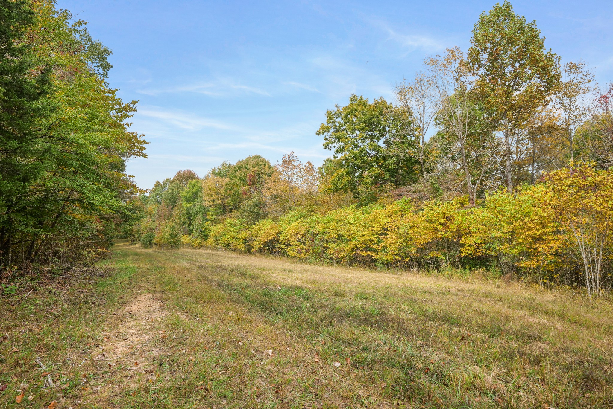 0 Union Road Dickson, TN 37055 - Photo 12 of 40 Gallery Image 12