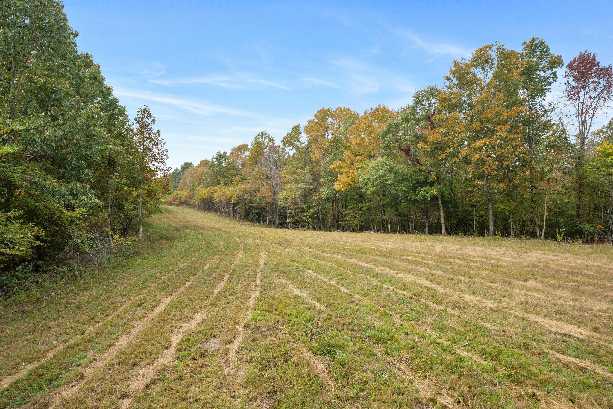 0 Union Road Dickson, TN 37055 - Photo 15 of 40 Gallery Image 15