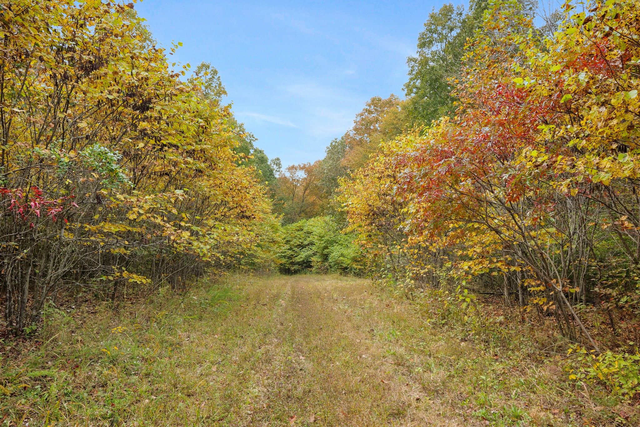 0 Union Road Dickson, TN 37055 - Photo 16 of 40 Gallery Image 16