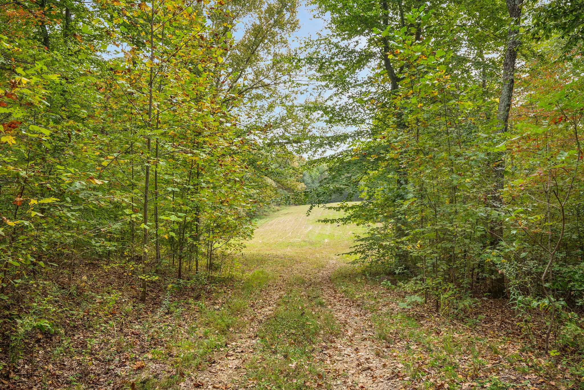 0 Union Road Dickson, TN 37055 - Photo 20 of 40 Gallery Image 20