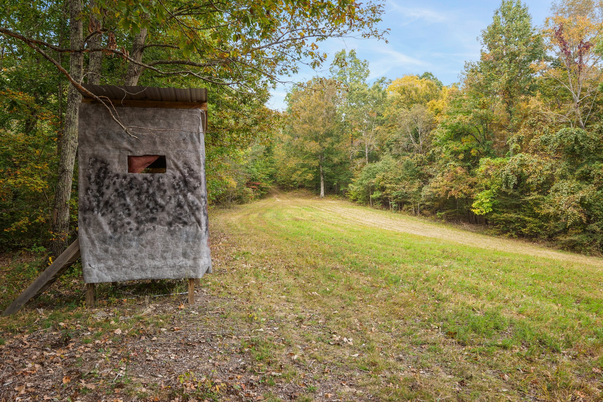 0 Union Road Dickson, TN 37055 - Photo 21 of 40 Gallery Image 21